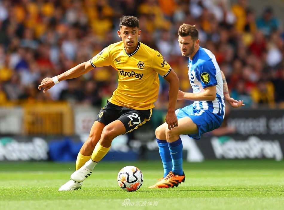 维斯齐头并 维斯齐头并